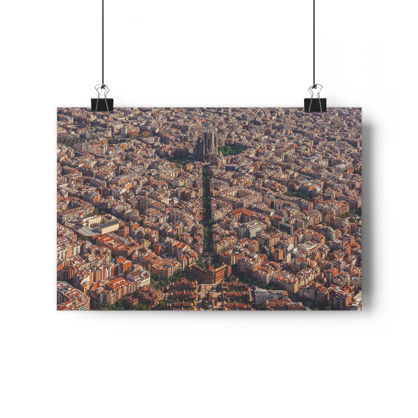 Aerial Symmetry